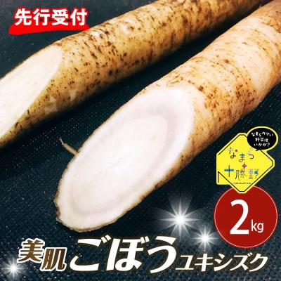 ふるさと納税 芽室町 [2026年5月中旬〜順次発送]芽室町 春掘り美肌ごぼう[ユキシズク]L2kg me001-034c