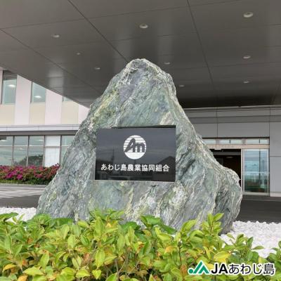 ふるさと納税 南あわじ市 JAあわじ島のほんまもんたまねぎ【5kg】中晩生種 |  | 01