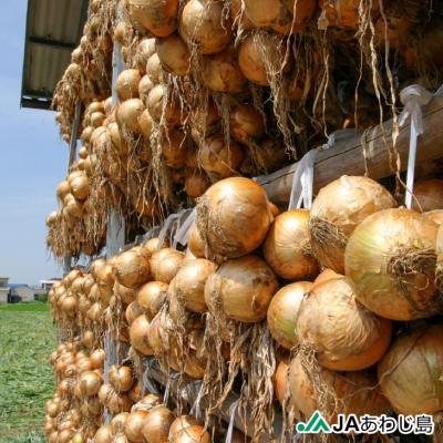 ふるさと納税 南あわじ市 JAあわじ島のほんまもんたまねぎ【5kg】中晩生種 |  | 03