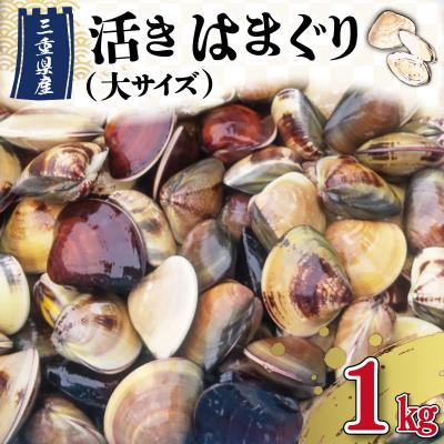 ふるさと納税 明和町 三重県産 活きはまぐり 大サイズ 1kg [しもい水産]sm3