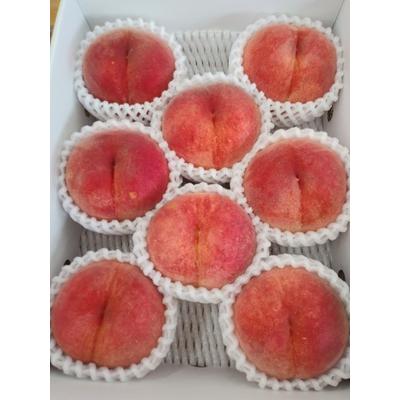 ふるさと納税 上山市 山形の旬の桃(品種おまかせ)3kg 0030-2610の画像