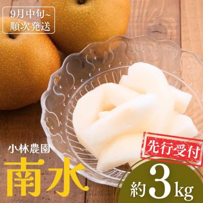 ふるさと納税 三条市 和梨 南水 約3kg [9月中旬から発送予定] 新潟県産 [小林農園] 【012S040】 | 