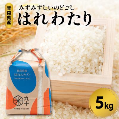 ふるさと納税 五所川原市 米 5kg はれわたり 令和7年産 青森県産 (精米) 特A