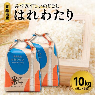ふるさと納税 五所川原市 米 10kg はれわたり 令和7年産 青森県産 ( 精米 5kg ×2) 特A