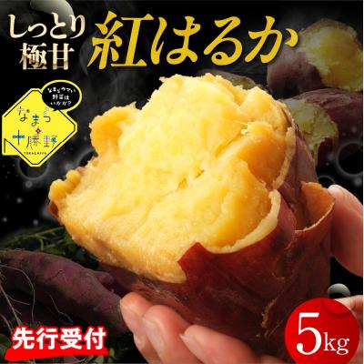 ふるさと納税 芽室町 [12月以降発送]北海道十勝芽室町 なまら十勝野 芽室町産さつまいも[紅はるか]5kg