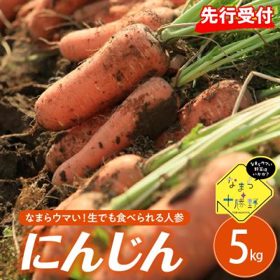 ふるさと納税 芽室町 [先行受付][10月上旬より発送]北海道十勝芽室町 なまら十勝野 芽室町産にんじん5kg