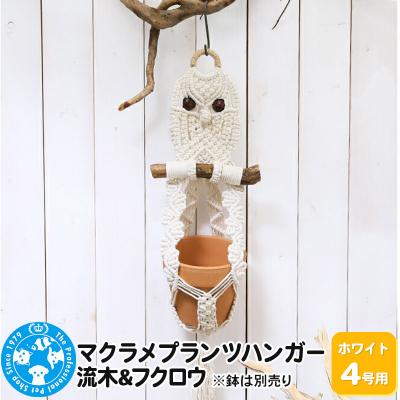 ふるさと納税 邑楽町 マクラメプランツハンガー 流木&amp;フクロウ 4号用[ホワイト]|09_chm-d60101ba