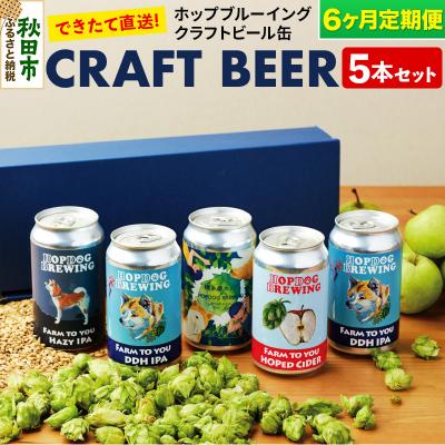 ふるさと納税 秋田市 [定期便6ヶ月]クラフトビール缶 毎月5本セット|15_hdb-010106
