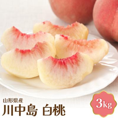 ふるさと納税 河北町 [令和8年産] 川中島白桃 3kg[JAさがえ西村山]
