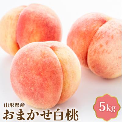 ふるさと納税 河北町 [令和8年産]おまかせ白桃 5kg[JAさがえ西村山]