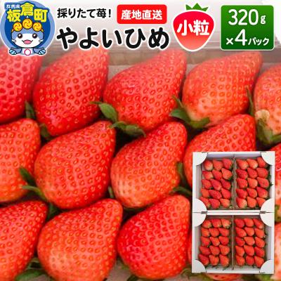 ふるさと納税 板倉町 いちご(やよいひめ)小粒 4パック 採りたて苺!産地直送|13_fjf-020401