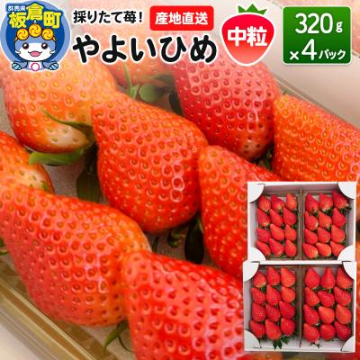 ふるさと納税 板倉町 いちご(やよいひめ)中粒 4パック 採りたて苺!産地直送|13_fjf-030401