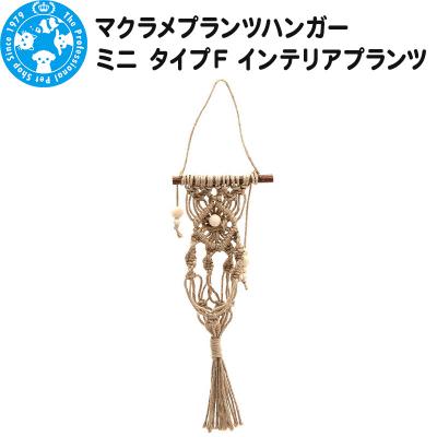 ふるさと納税 邑楽町 マクラメプランツハンガー ミニ タイプF インテリアプランツ|09_chm-cu0101