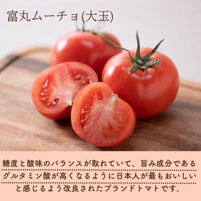 ふるさと納税 熊野市 熊野薬草園の大玉トマト(1.2kg) |  | 01