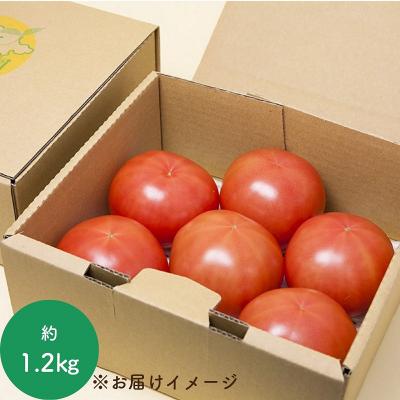 ふるさと納税 熊野市 熊野薬草園の大玉トマト(1.2kg) |  | 02