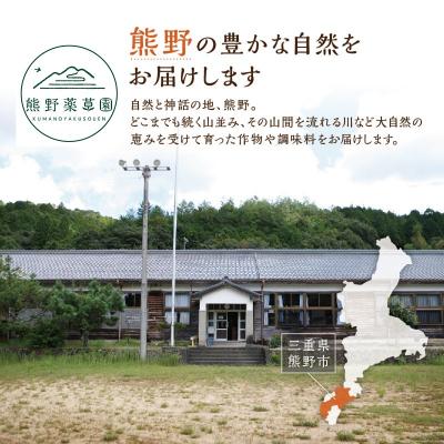 ふるさと納税 熊野市 熊野薬草園の大玉トマト(1.2kg) |  | 03