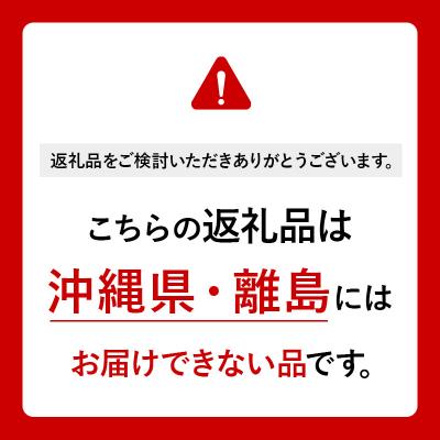 ふるさと納税 板倉町 【定期便12ヶ月】サントリー ザ・プレミアム・モルツ 350ml×24本|13_snt-012412_1