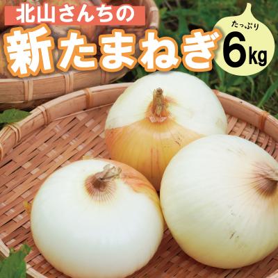 ふるさと納税 明和町 北山さんちの新たまねぎ 6kg kn1