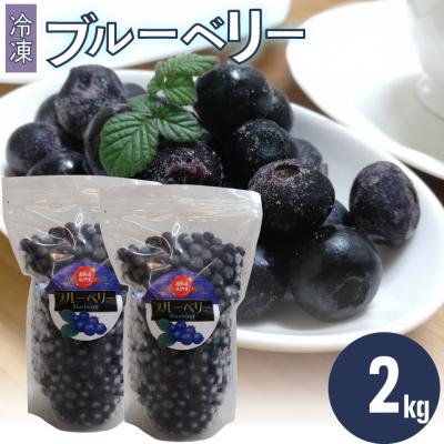 ふるさと納税 佐川町 冷凍ブルーベリー計2kg 佐川町産&lt;4〜6ヶ月程度お待たせすることがあります&gt;