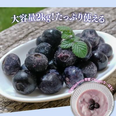 ふるさと納税 佐川町 冷凍ブルーベリー計2kg 佐川町産<4〜6ヶ月程度で発送予定> |  | 01