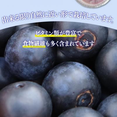 ふるさと納税 佐川町 冷凍ブルーベリー計2kg 佐川町産<4〜6ヶ月程度で発送予定> |  | 02
