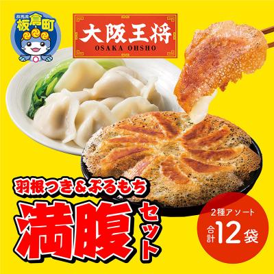 ふるさと納税 板倉町 大阪王将 羽根つき&amp;ぷるもち満腹セット(2種アソート)計12袋|13_nnb-080101