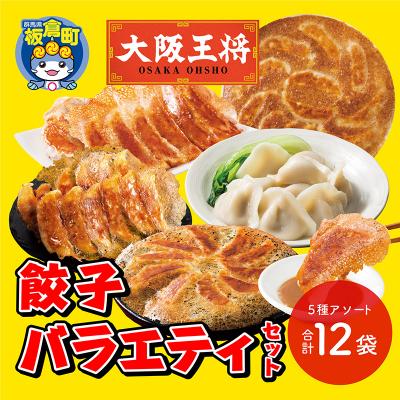 ふるさと納税 板倉町 大阪王将 餃子バラエティセット(5種アソート)計12袋|13_nnb-070101