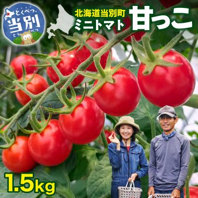 ふるさと納税 当別町 北海道当別町産ミニトマト:甘っこ1.5kg_tb36-002