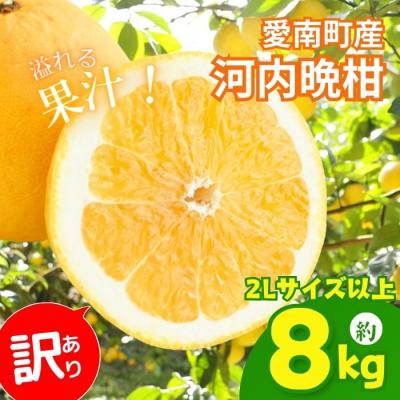 ふるさと納税 愛南町 訳あり 河内晩柑 2Lサイズ以上 約8kg サイズミックス 大樹農園 愛南町 愛媛県