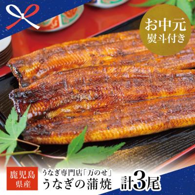ふるさと納税 南さつま市 [お中元ギフト]鹿児島県産 鰻 うなぎ専門店「万のせ」 うなぎ蒲焼3尾