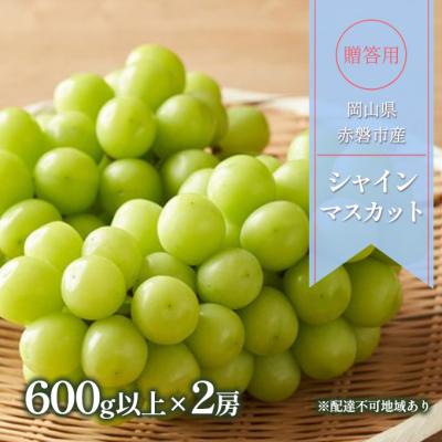 ふるさと納税 赤磐市 ぶどう 2026年 贈答用 シャインマスカット 600g以上×2房 [NO5765-1060]
