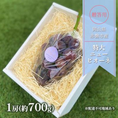 ふるさと納税 赤磐市 ぶどう 2026年 贈答用 特大 ニューピオーネ 1房(約700g) [NO5765-1061]