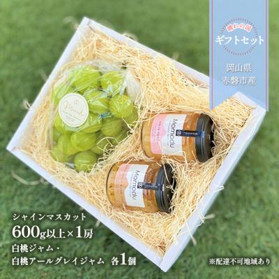 ふるさと納税 赤磐市 晴れの国 ギフトセット ( シャインマスカット 1房+ ジャム 2種) [NO5765-1063]
