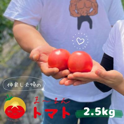 ふるさと納税 熊野市 [先行受付]熊野市産 仲良し夫婦の ま〜るんトマト 2.5kg