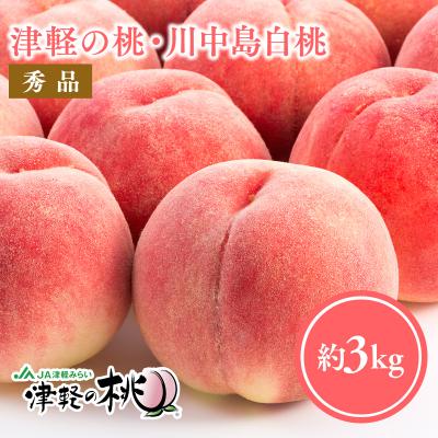 ふるさと納税 平川市 [8月下旬〜9月中旬発送予定]津軽の桃 川中島白桃約3kg