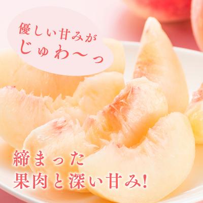 ふるさと納税 平川市 【8月下旬〜9月中旬発送予定】津軽の桃 川中島白桃約3kgの画像