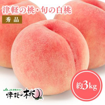 ふるさと納税 平川市 [8月中旬〜8月下旬発送予定]津軽の桃 旬の白桃約3kg
