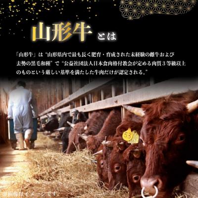 ふるさと納税 山形市 A4〜5等級!厳選! 山形牛 焼肉用 特製焼肉タレ漬け 1.2kg FZ23-979 |  | 02