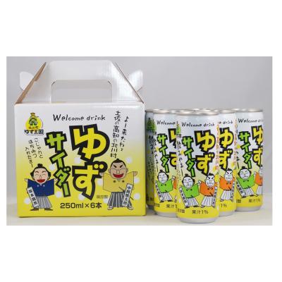 ふるさと納税 高知県 北川村ゆずサイダー6本セット [A06018]