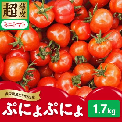 ふるさと納税 五所川原市 [2026年 先行受付]超薄皮 ミニトマト 約1.7kg 「ぷにょぷにょ」 産地直送 青森 五所川原