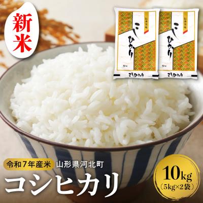 ふるさと納税 河北町 [令和7年産米]2025年11月下旬発送 コシヒカリ10kg 山形県産 [米COMEかほく]