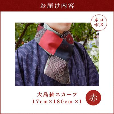 ふるさと納税 鹿児島市 【5営業日以内に発送】大島紬スカーフ(赤)　K275-003_01 |  | 03