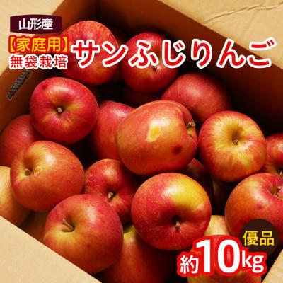 ふるさと納税 山形市 [家庭用]無袋栽培ふじりんご 優品 約10kg入り FY25-901