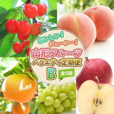 ふるさと納税 山形市 【定期便5回】おいしい!ジューシー!山形フルーツバラエティ定期便B  FZ25-821 | 