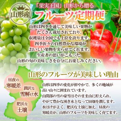 ふるさと納税 山形市 【定期便5回】おいしい!ジューシー!山形フルーツバラエティ定期便B  FZ25-821 |  | 01