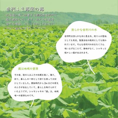 ふるさと納税 釧路市 【6月上旬発送予定】音蕗(おんぶき) 2kg 無農薬 蕗 フキ ふきの画像