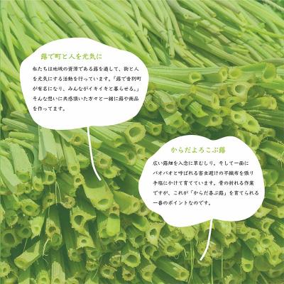 ふるさと納税 釧路市 【6月上旬発送予定】音蕗(おんぶき) 2kg 無農薬 蕗 フキ ふきの画像