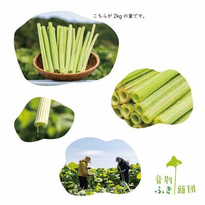 ふるさと納税 釧路市 【6月上旬発送予定】音蕗(おんぶき) 2kg 無農薬 蕗 フキ ふきの画像