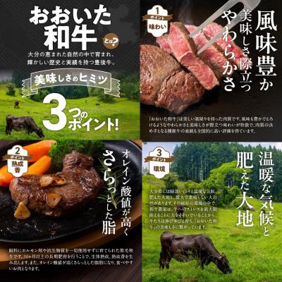 ふるさと納税 国東市 【黒毛和牛】 おおいた和牛 半生 ビーフジャーキー 200g (40g×5P) _2392R-1 |  | 02
