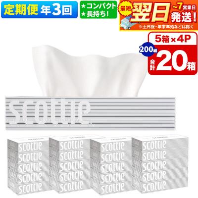 ふるさと納税 秋田市 [3回定期便]ティッシュペーパー スコッティ 20箱 5箱×4P|15_nsc-050403